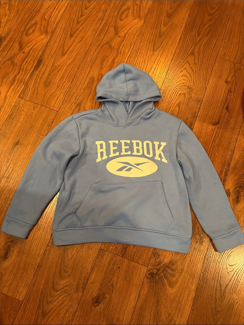 Boys Reebok Sky Blue Hoodie with White Logo